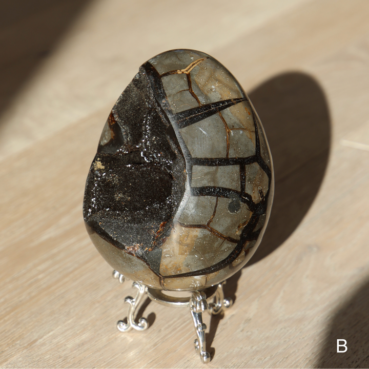 'Drakon' Druzy Septarian Egg - Enchantia Muse