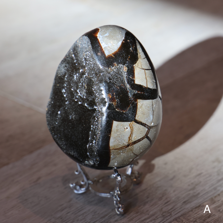 'Drakon' Druzy Septarian Egg - Enchantia Muse