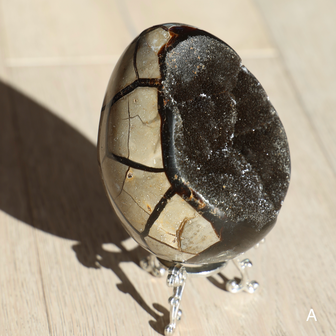 'Drakon' Druzy Septarian Egg - Enchantia Muse