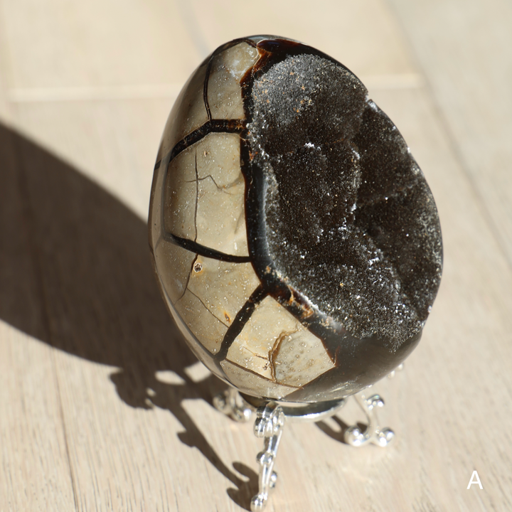 'Drakon' Druzy Septarian Egg - Enchantia Muse