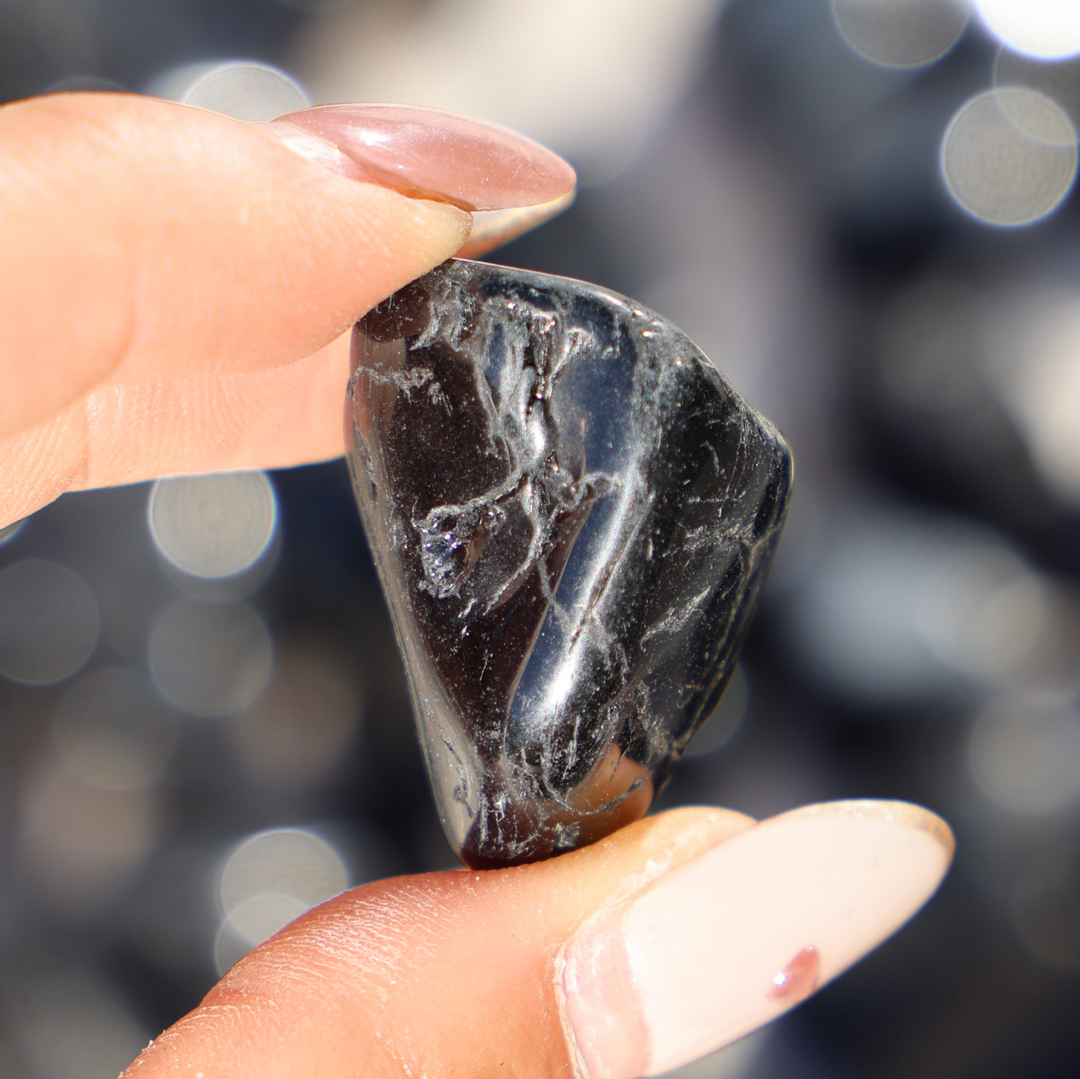 Black Tourmaline Tumble Stone - Enchantia Muse