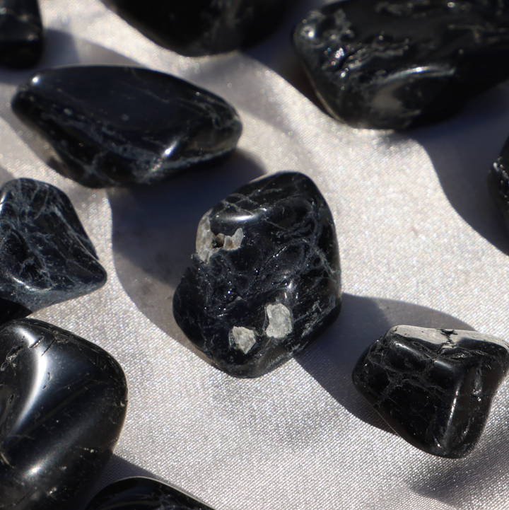 Black Tourmaline Tumble Stone - Enchantia Muse