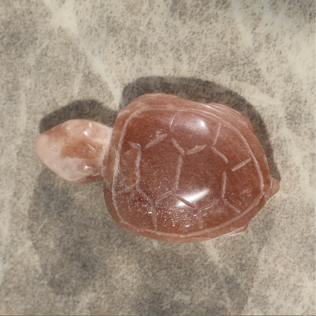 Sunstone Turtle