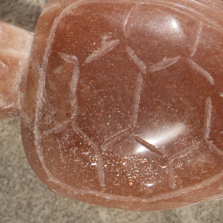 Sunstone Turtle