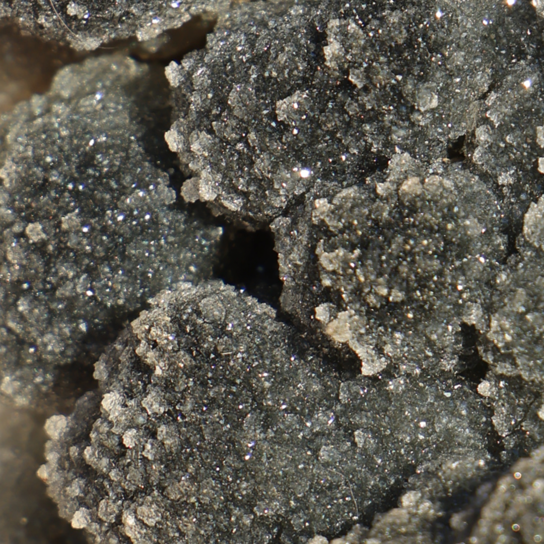 Sugar Druzy Black Amethyst with Bubble Formations - Enchantia Muse