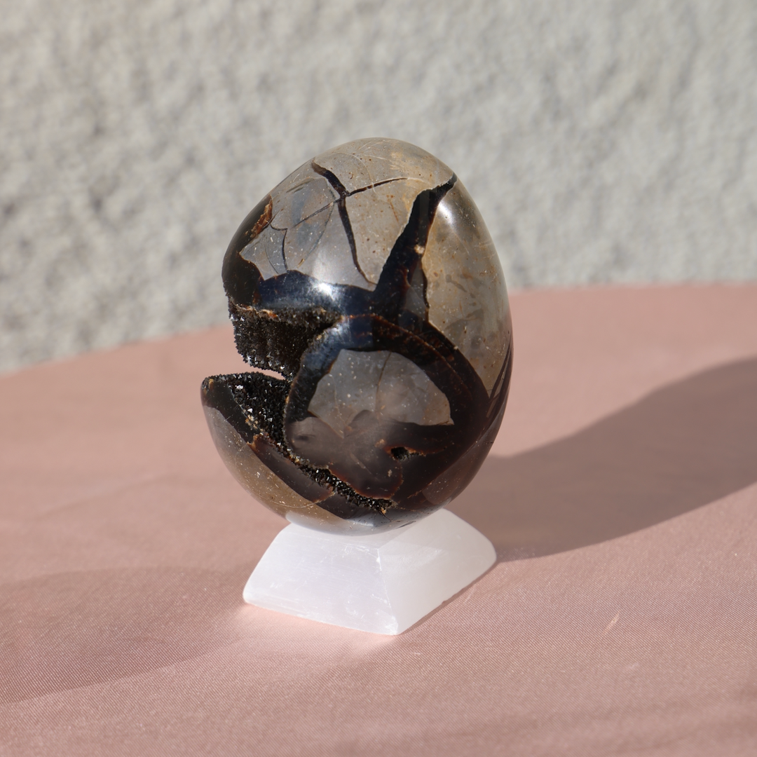 Medium Druzy Septarian Dragon Egg
