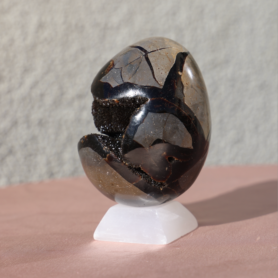 Medium Druzy Septarian Dragon Egg