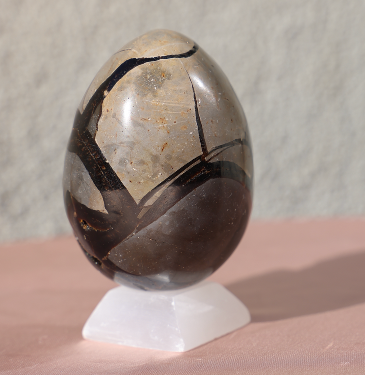 Medium Druzy Septarian Dragon Egg