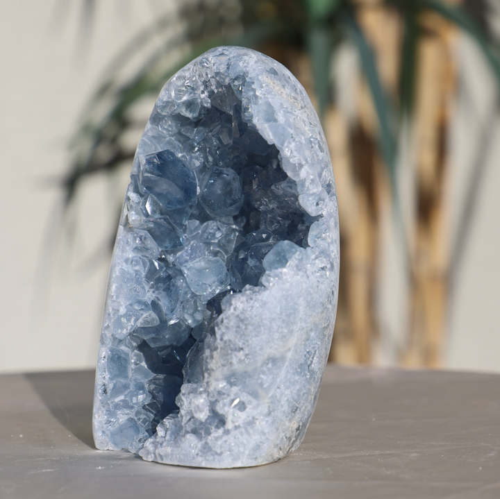 Self Stand Celestite Geode