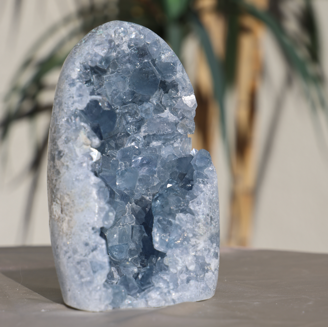 Self Stand Celestite Geode