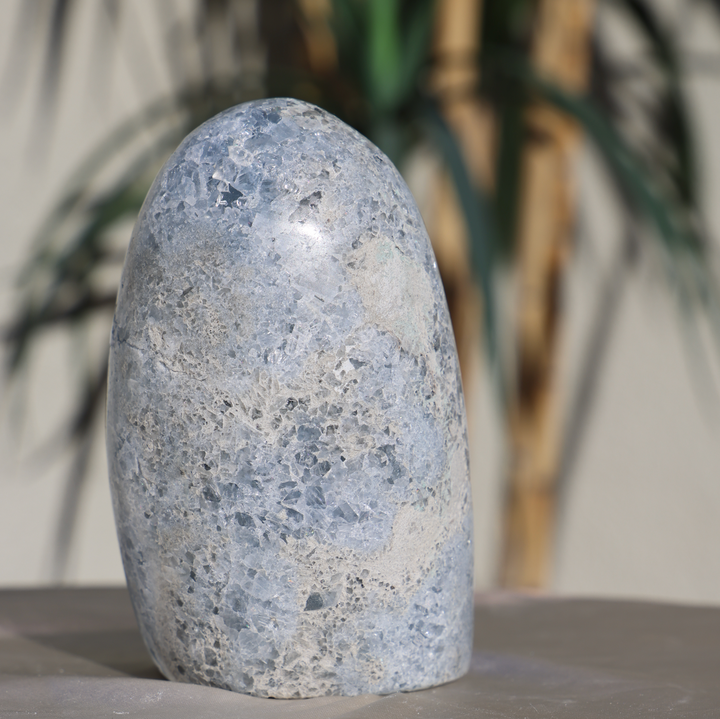 Self Stand Celestite Geode