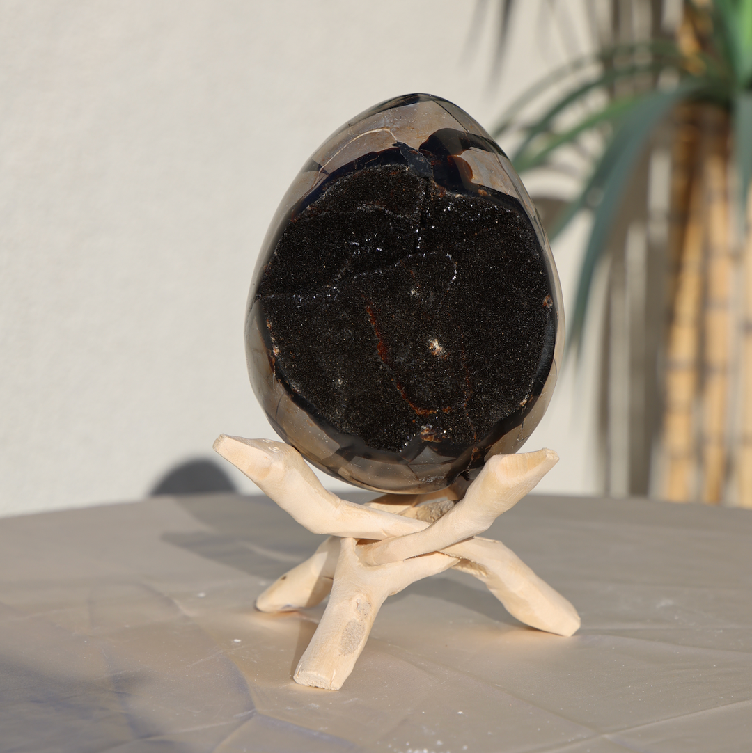 Large Septarian Dragon Egg #1