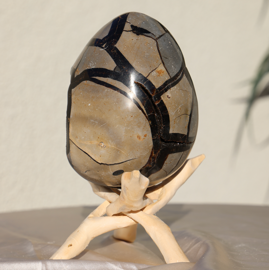 Large Septarian Dragon Egg #1