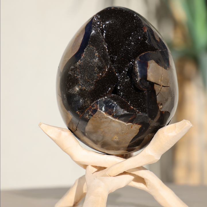 Large Septarian Dragon Egg #2