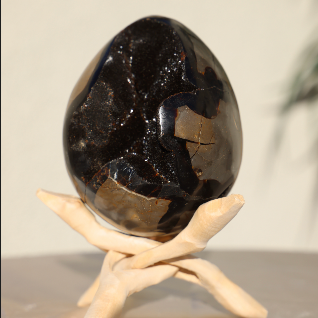 Large Septarian Dragon Egg #2