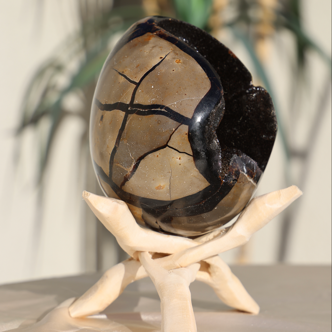 Large Septarian Dragon Egg #2
