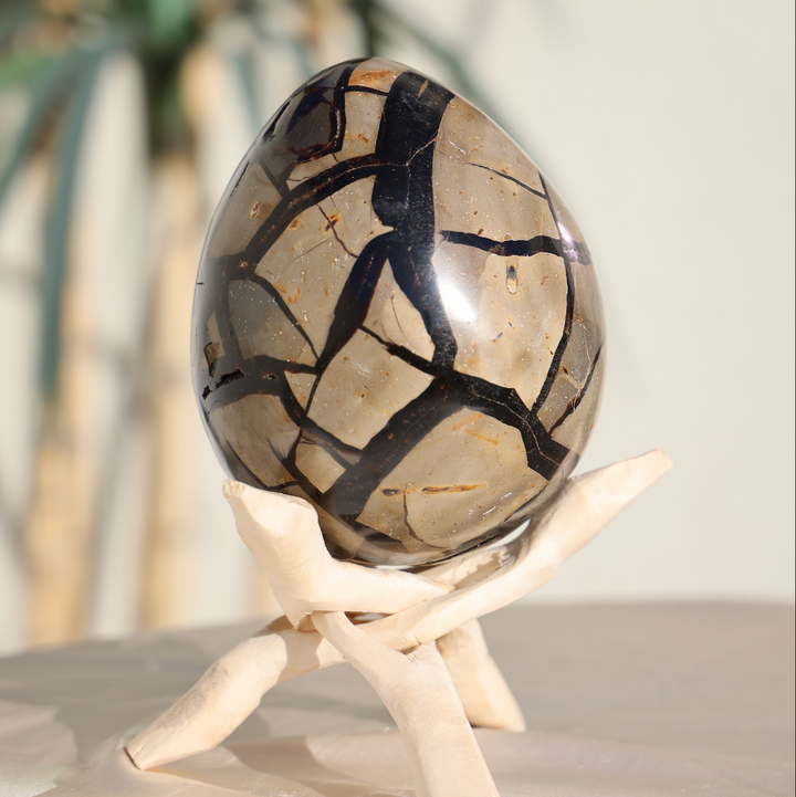 Large Septarian Dragon Egg #2