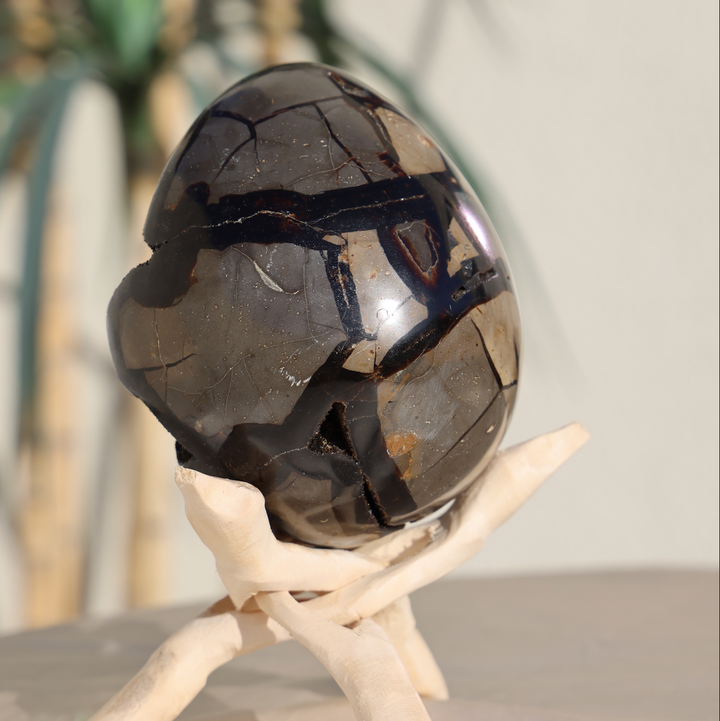 Large Septarian Dragon Egg #2