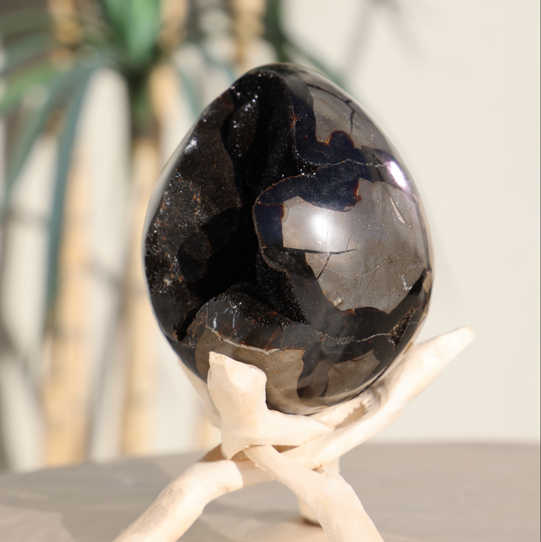 Large Septarian Dragon Egg #2