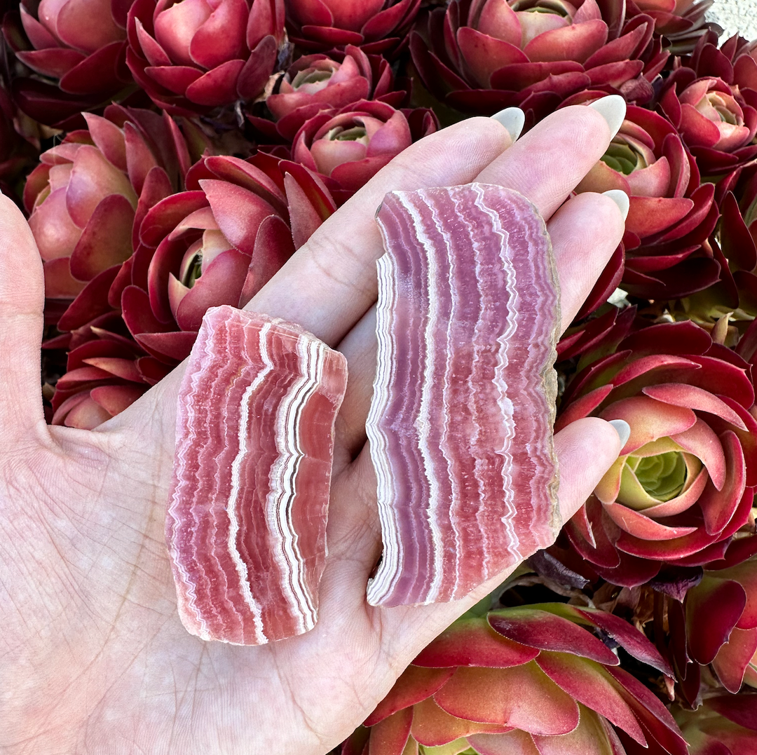 'BACON' Rhodochrosite Slice - Enchantia Muse