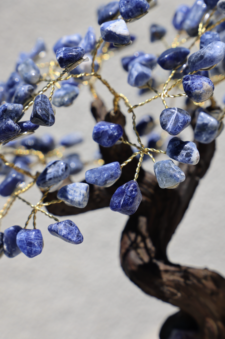 Handmade Sodalite Tree with Amethyst Base - Large - Enchantia Muse