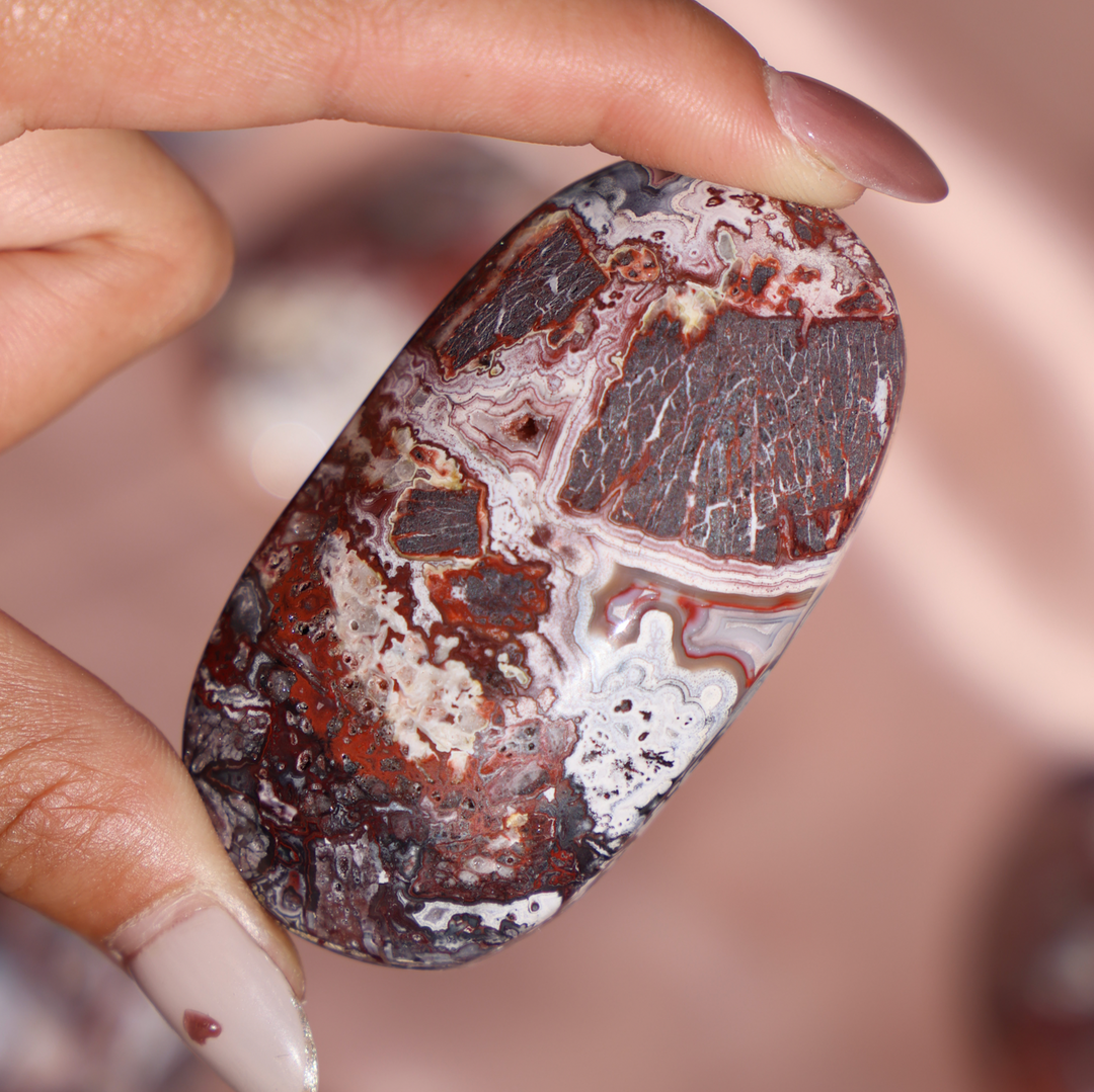 Mexican Crazy Lace Agate Palm Stone - Enchantia Muse