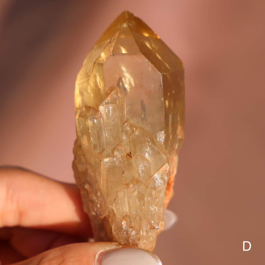 Raw Kundalini Citrine Cluster - Enchantia Muse