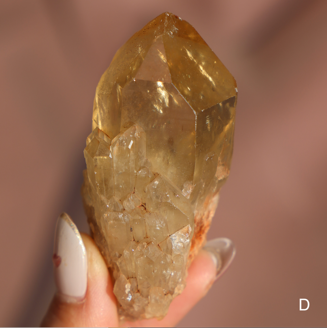 Raw Kundalini Citrine Cluster - Enchantia Muse