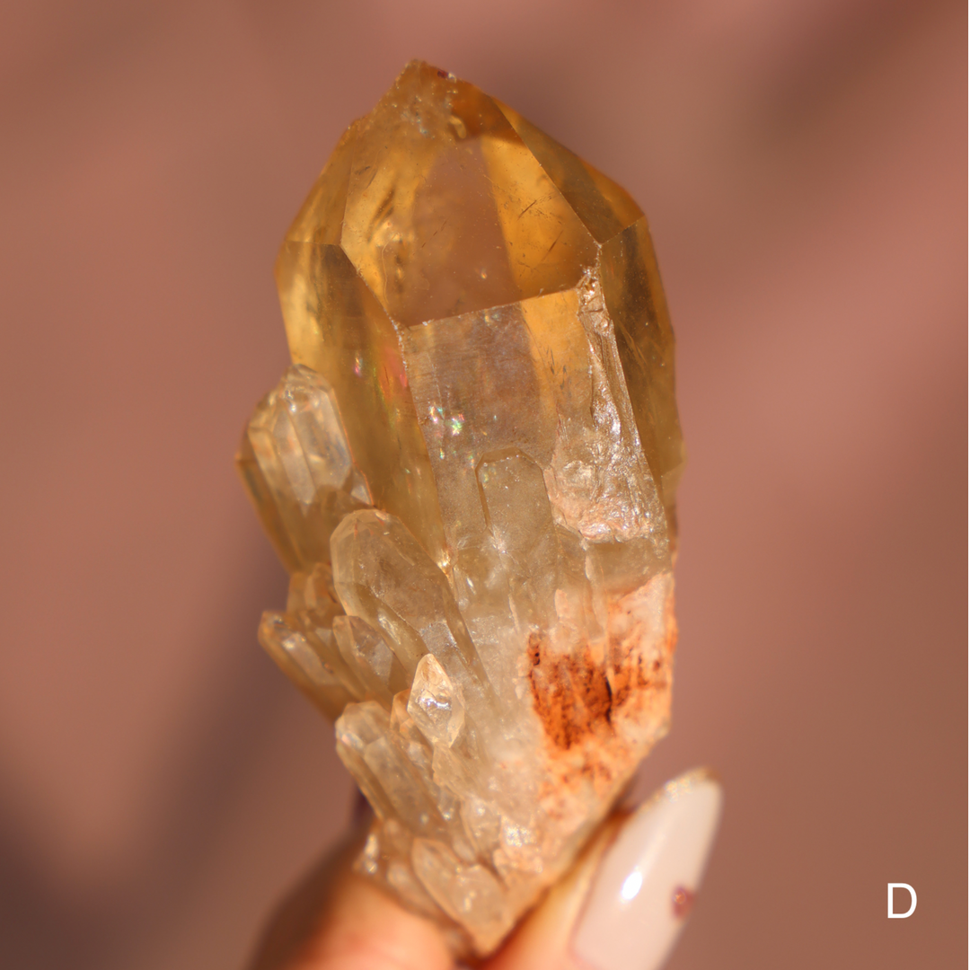 Raw Kundalini Citrine Cluster - Enchantia Muse