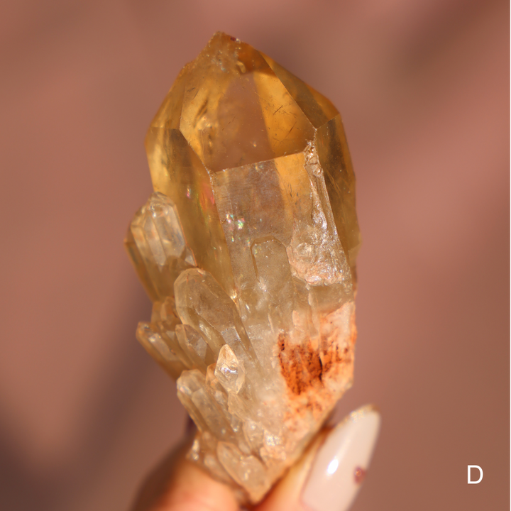 Raw Kundalini Citrine Cluster - Enchantia Muse