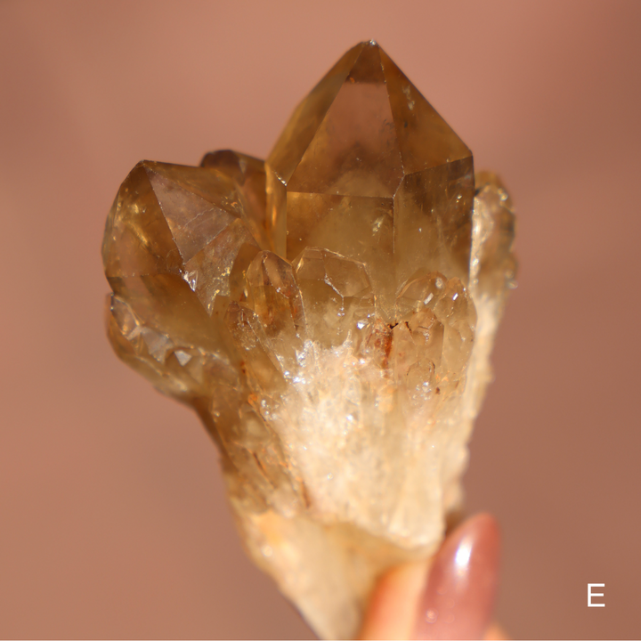 Raw Kundalini Citrine Cluster - Enchantia Muse