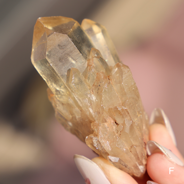 Raw Kundalini Citrine Cluster - Enchantia Muse