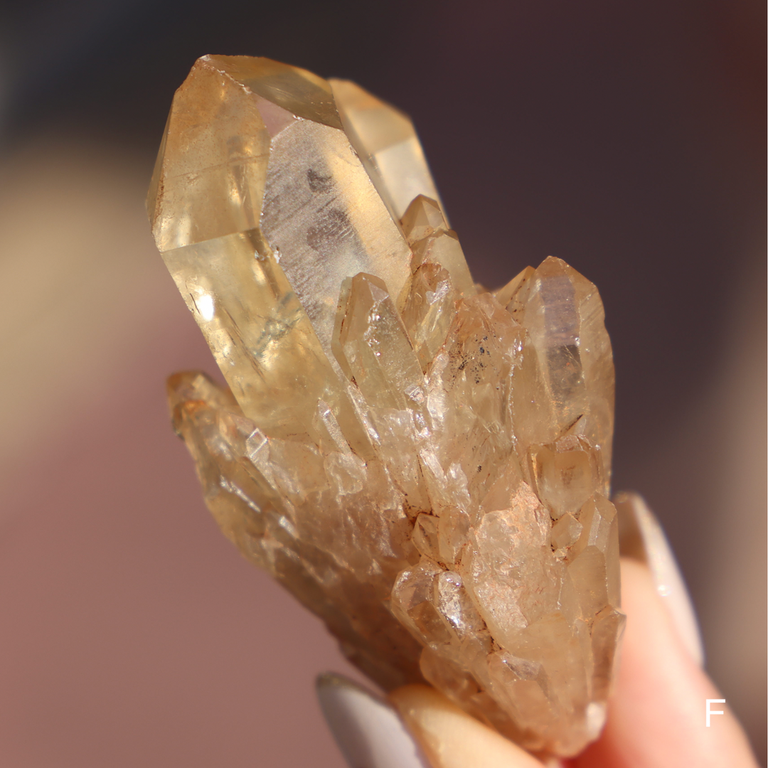 Raw Kundalini Citrine Cluster - Enchantia Muse