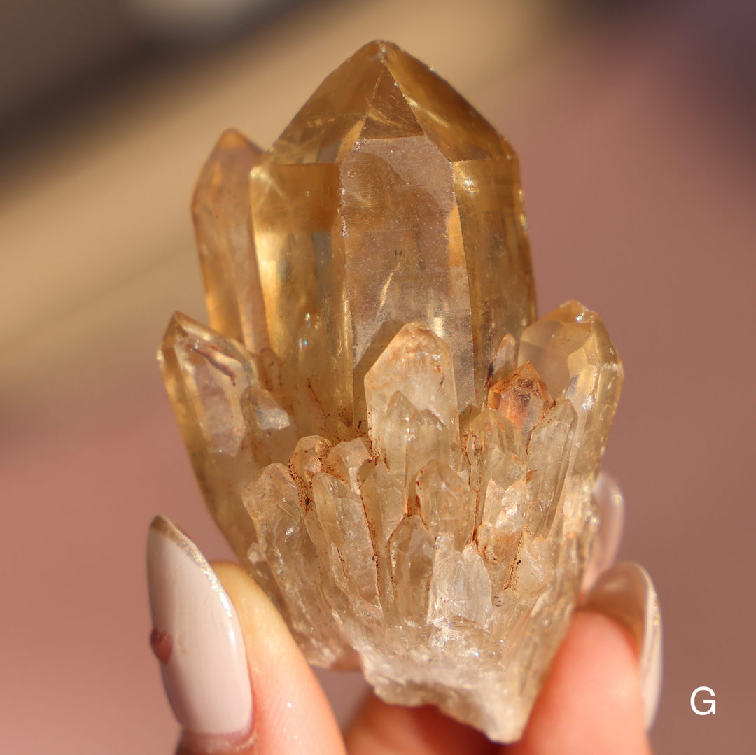 Raw Kundalini Citrine Cluster - Enchantia Muse