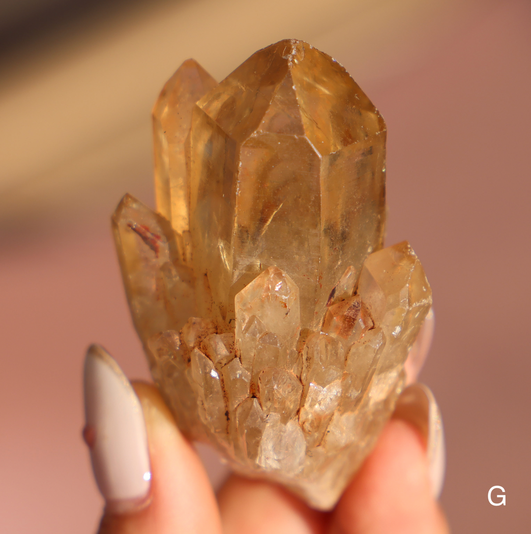 Raw Kundalini Citrine Cluster - Enchantia Muse