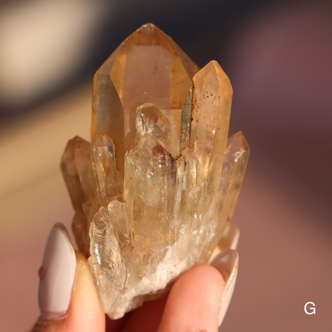 Raw Kundalini Citrine Cluster - Enchantia Muse