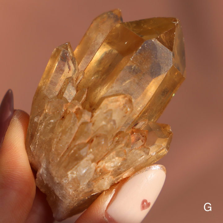 Raw Kundalini Citrine Cluster - Enchantia Muse