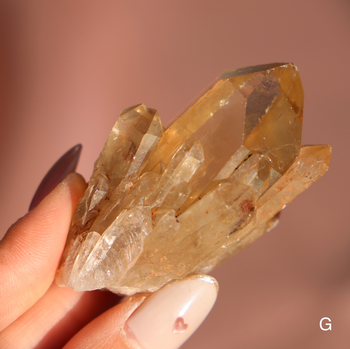 Raw Kundalini Citrine Cluster - Enchantia Muse