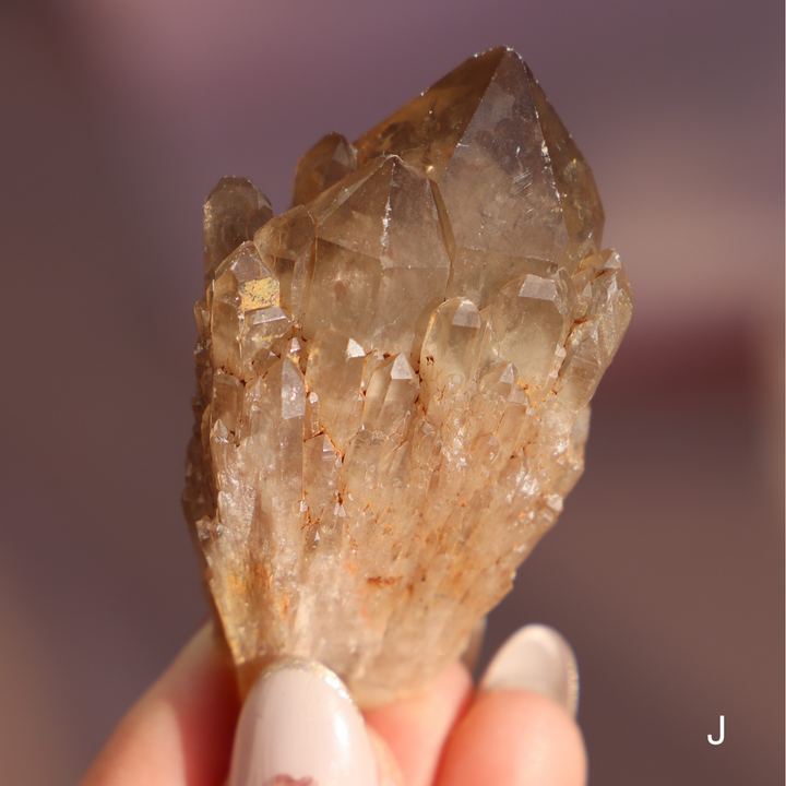 Raw Kundalini Citrine Cluster - Enchantia Muse