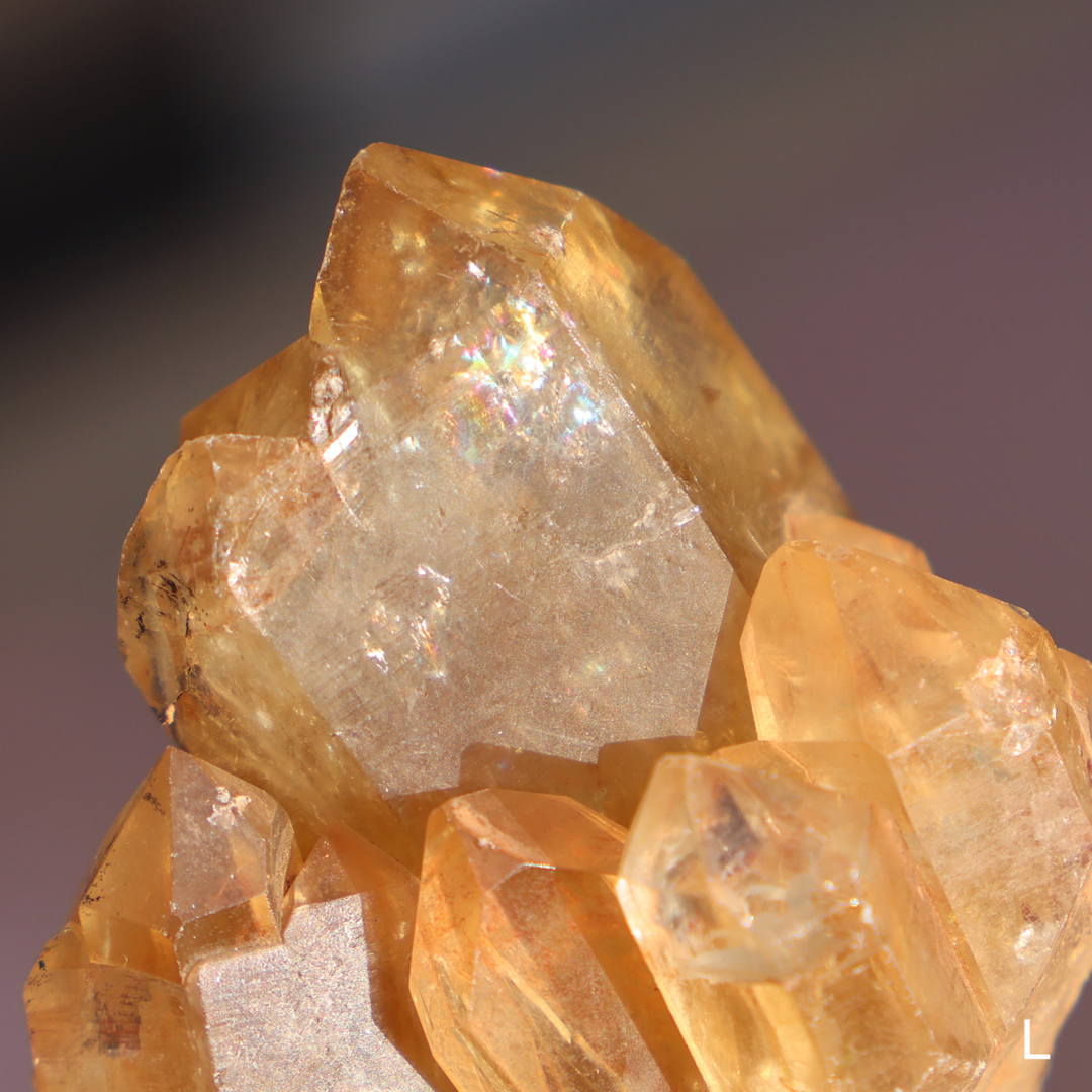 Raw Kundalini Citrine Cluster - Enchantia Muse