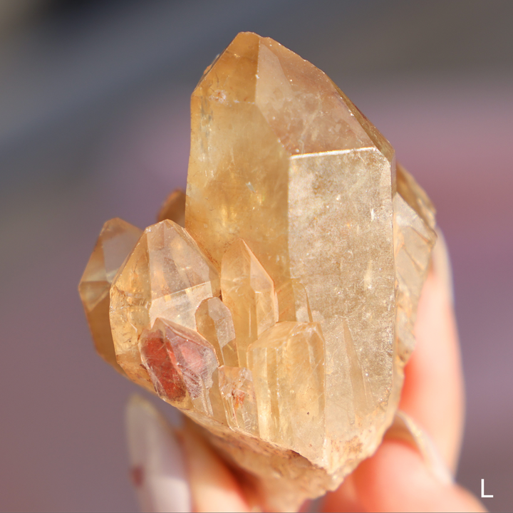 Raw Kundalini Citrine Cluster - Enchantia Muse