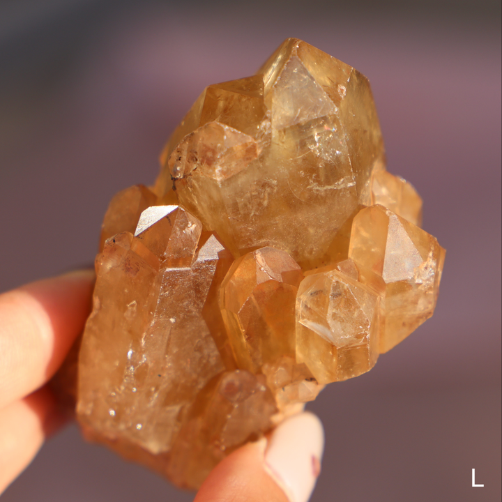 Raw Kundalini Citrine Cluster - Enchantia Muse