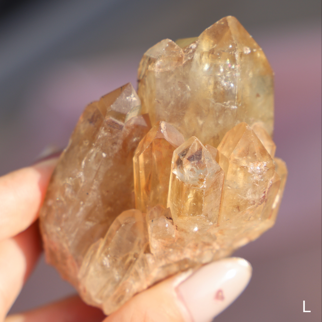 Raw Kundalini Citrine Cluster - Enchantia Muse