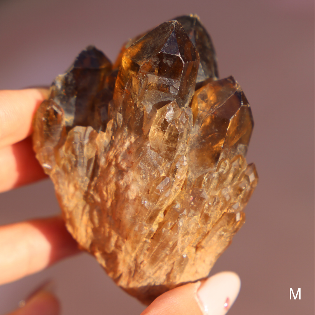 Raw Kundalini Citrine Cluster - Enchantia Muse