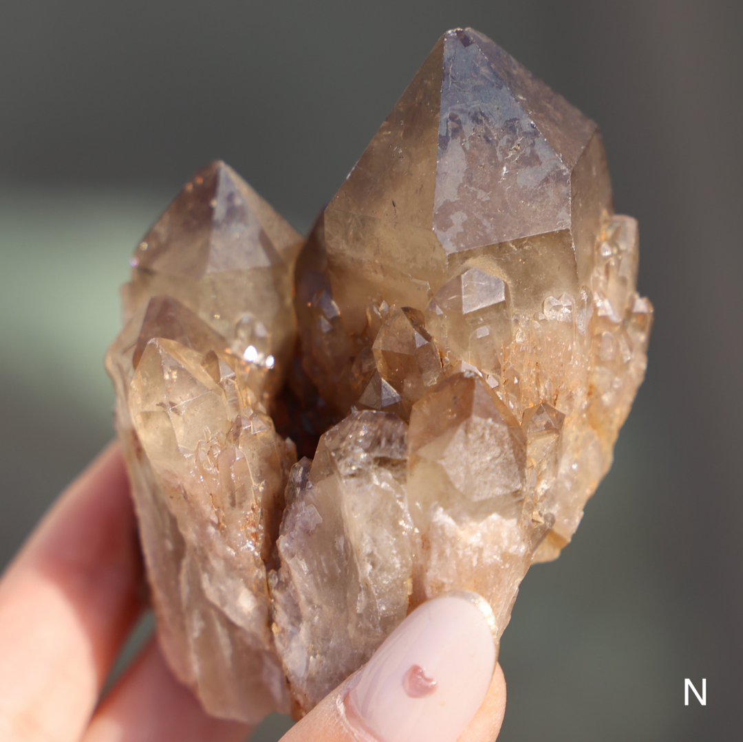 Raw Kundalini Citrine Cluster - Enchantia Muse