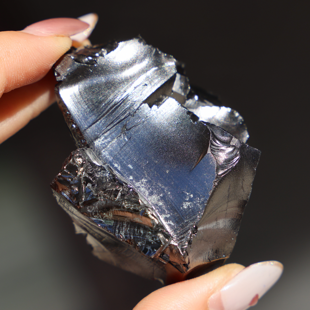 Raw Elite Noble Shungite - Enchantia Muse