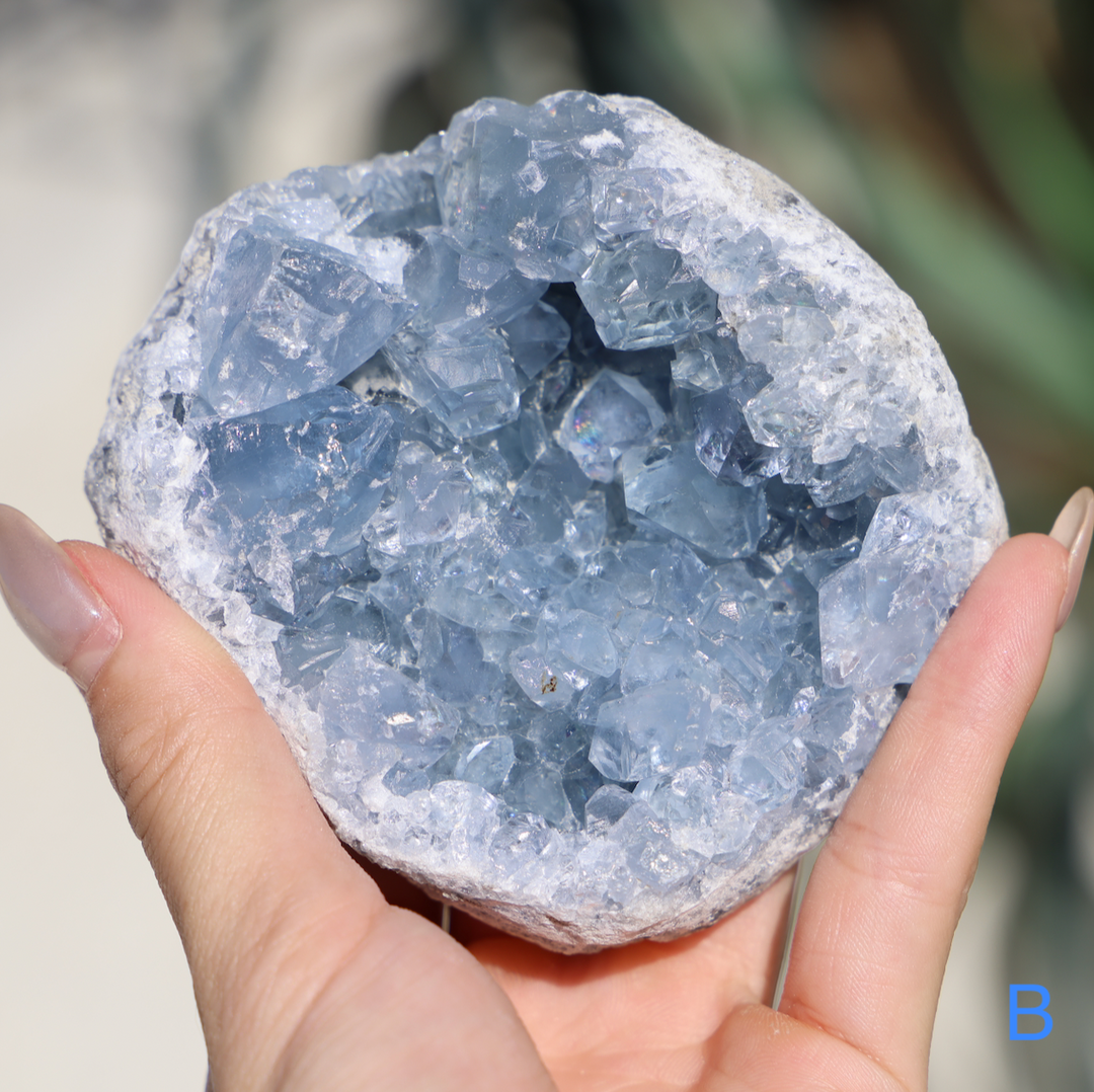 Celestite Geode