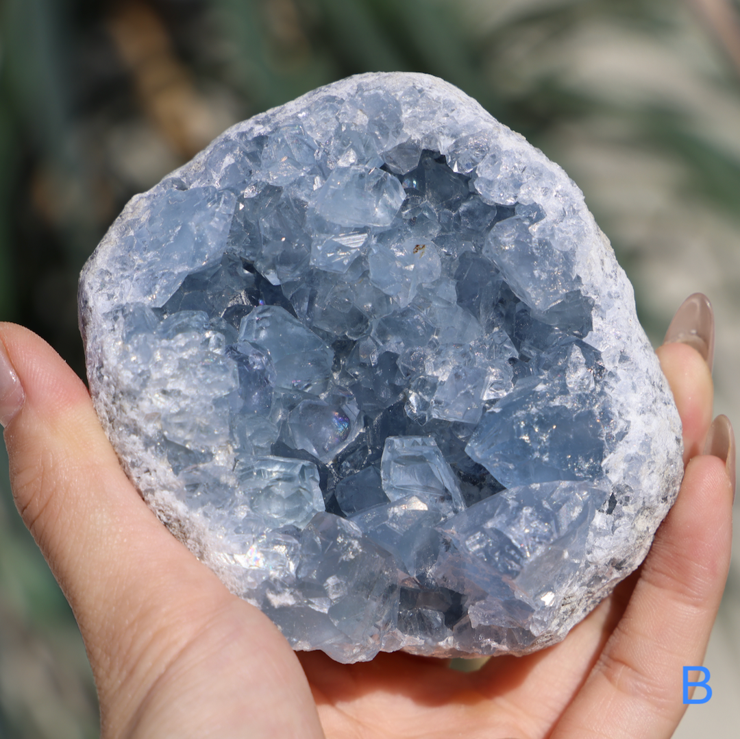 Celestite Geode