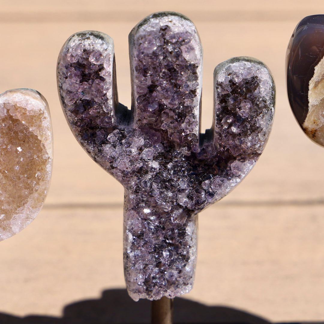 Amethyst Cactus on Stand