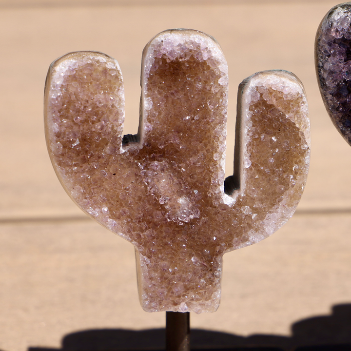 Amethyst Cactus on Stand